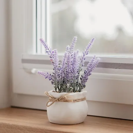 Vase * Tartu