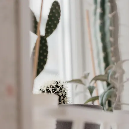 Vase Holiday home